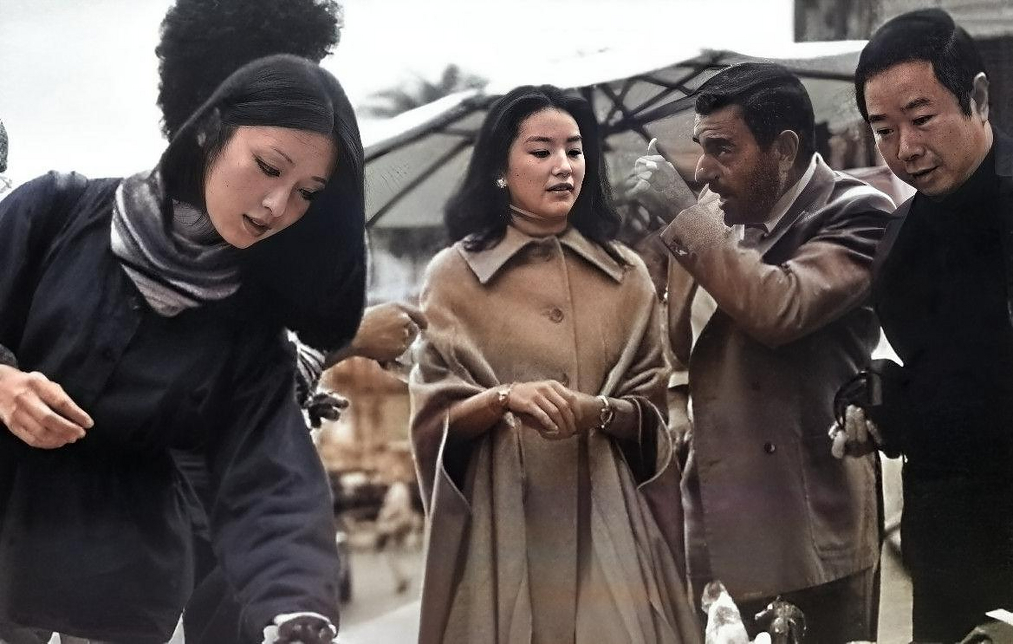 1977年,23岁的林青霞和24岁的胡因梦崭露头角 张合影在意大利旅行时拍