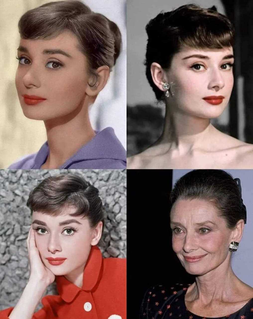 经典美女柯德莉·夏萍  audrey hepburn 老的很自然,但依旧优雅 一个