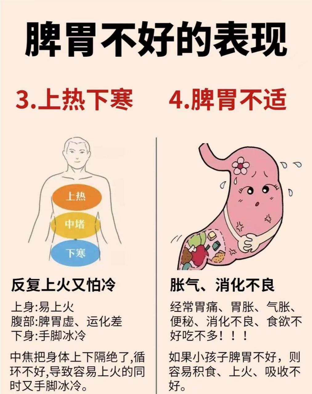 脾胃不好百病生 1.齿痕舌——四君子丸 2.有小肚子——枳术汤 3.