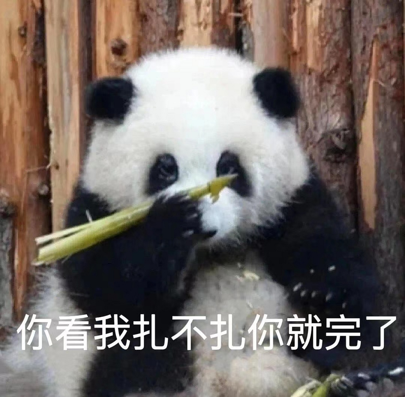 花花表情包!