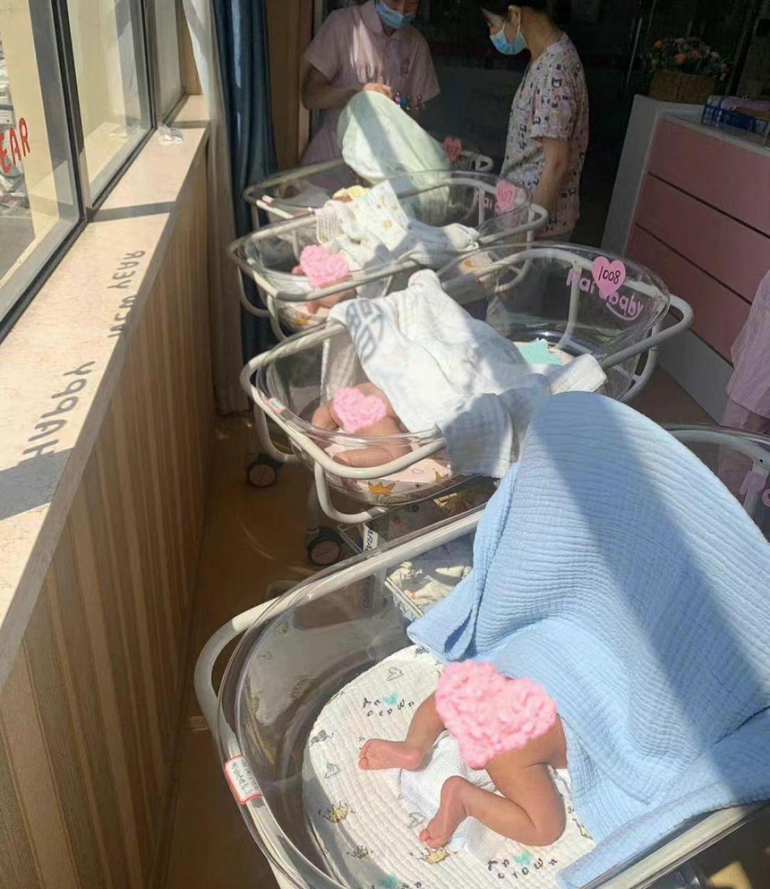 网友:一排小崽子们在晒屁屁