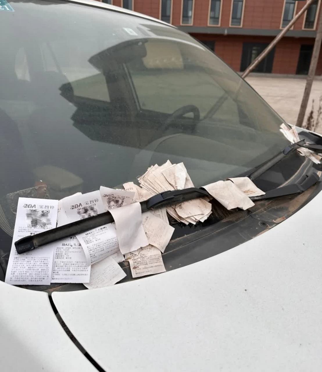 贴了那么多罚单.[大笑][大笑]#搞笑