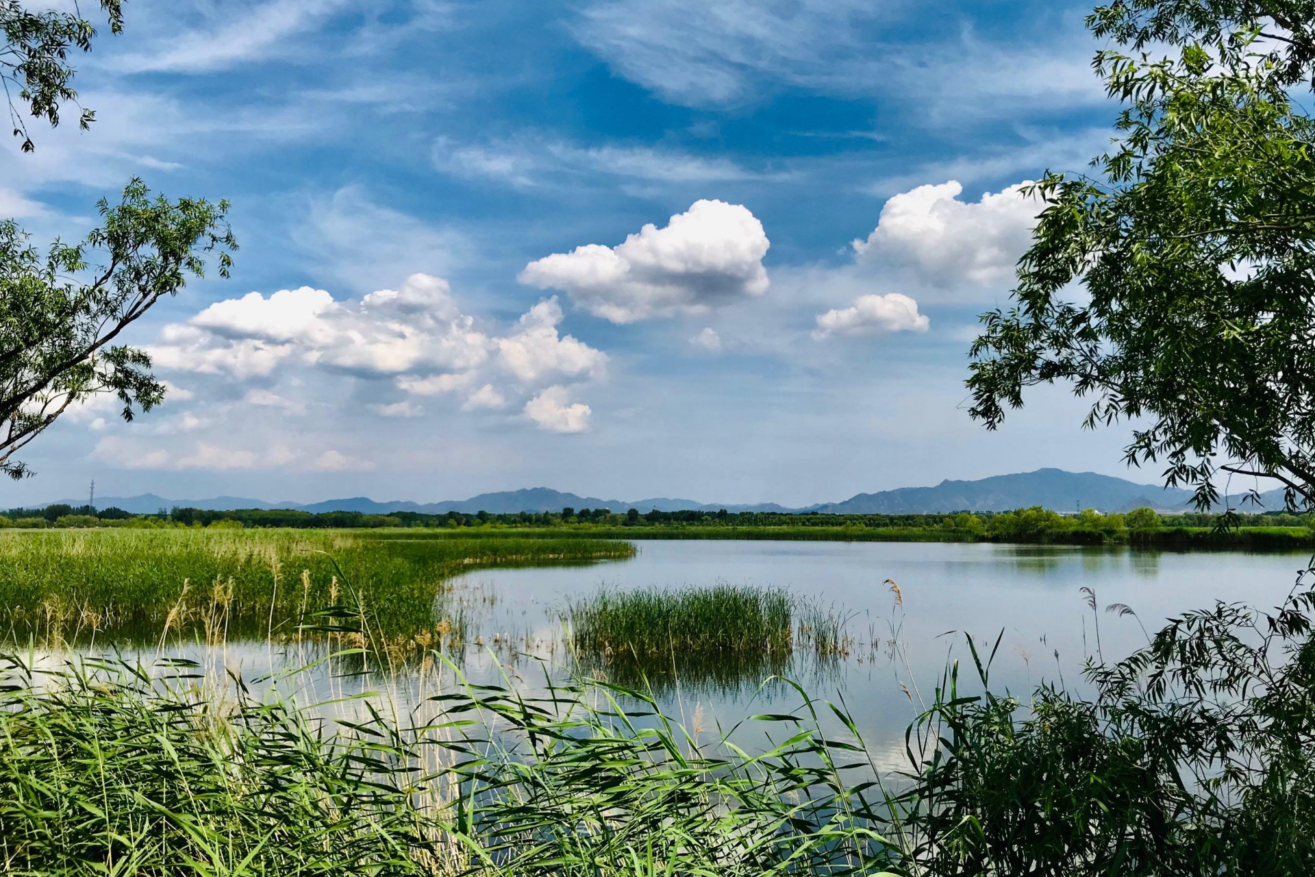 云南的野鸭湖湿地:这个地方因常年栖息着野鸭而得名