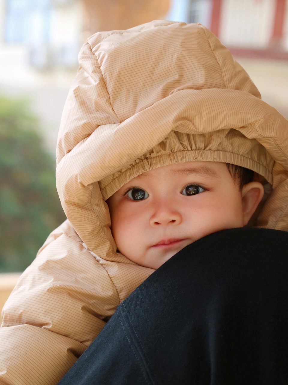 小月龄宝宝穿搭  大眼萌娃