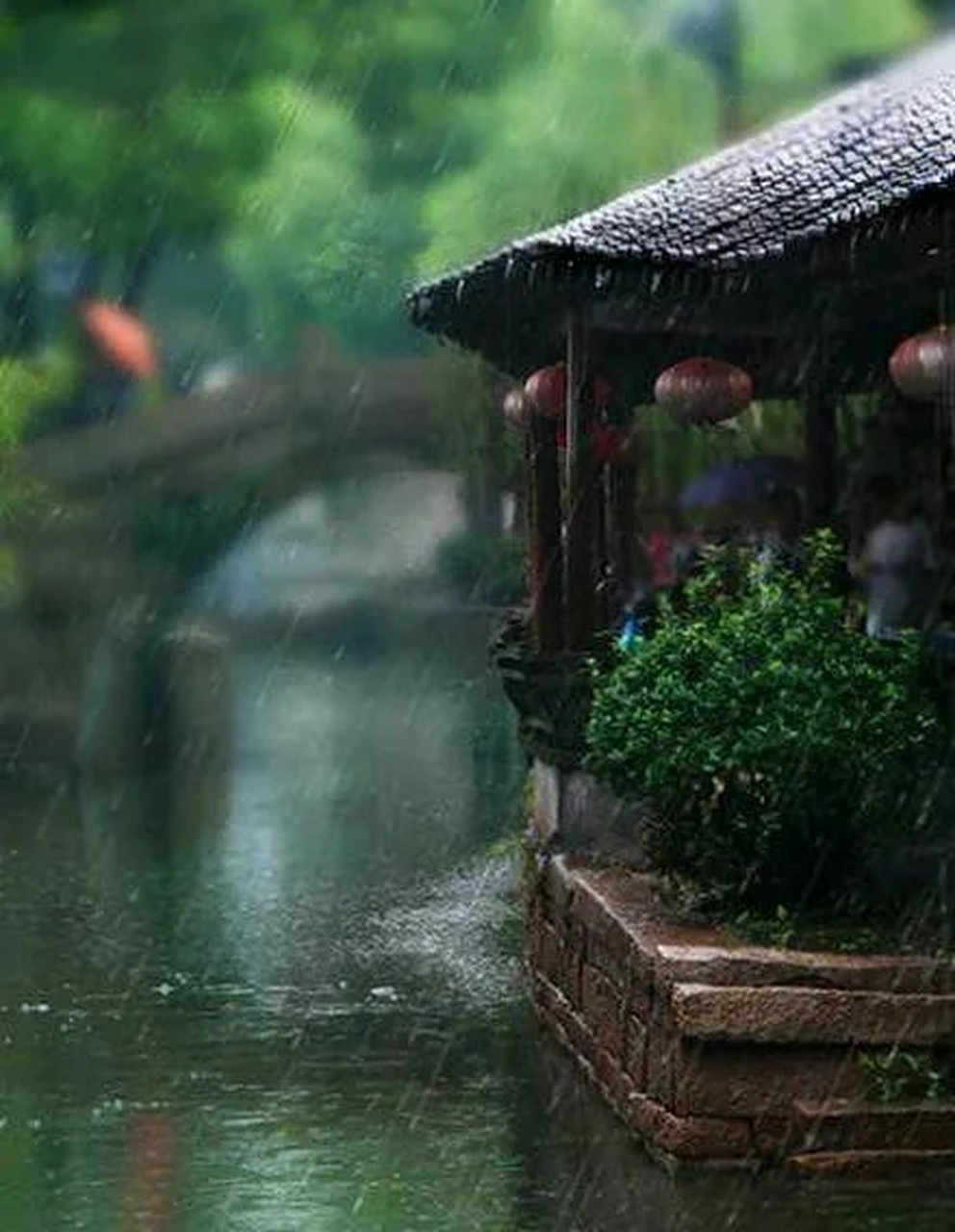 百度仲夏打卡挑战赛#烟雨桥头过客舟, 风中桨漾水东流.