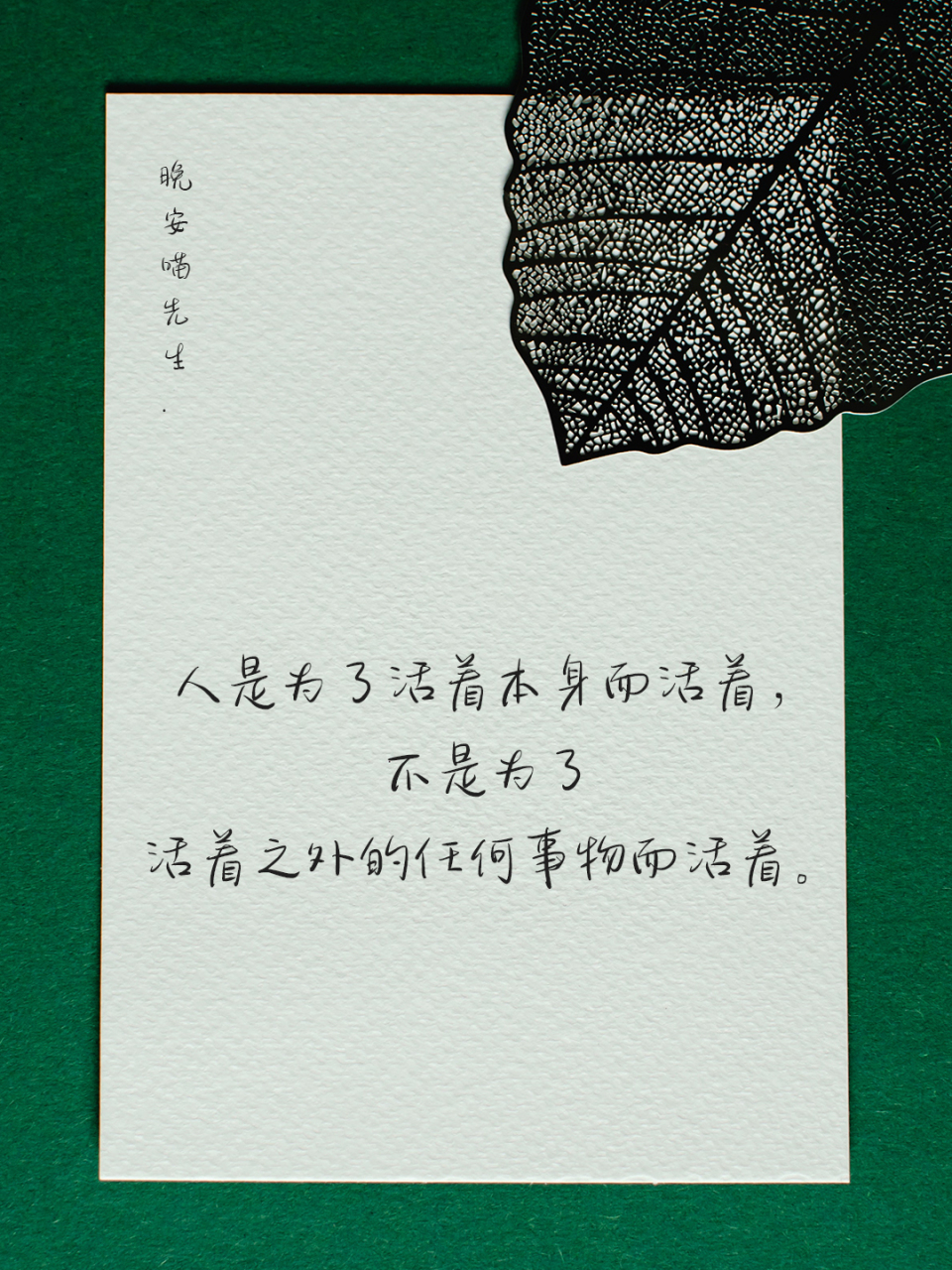 「金句摘抄」《活着》中那些值得思考和摘抄的文案.