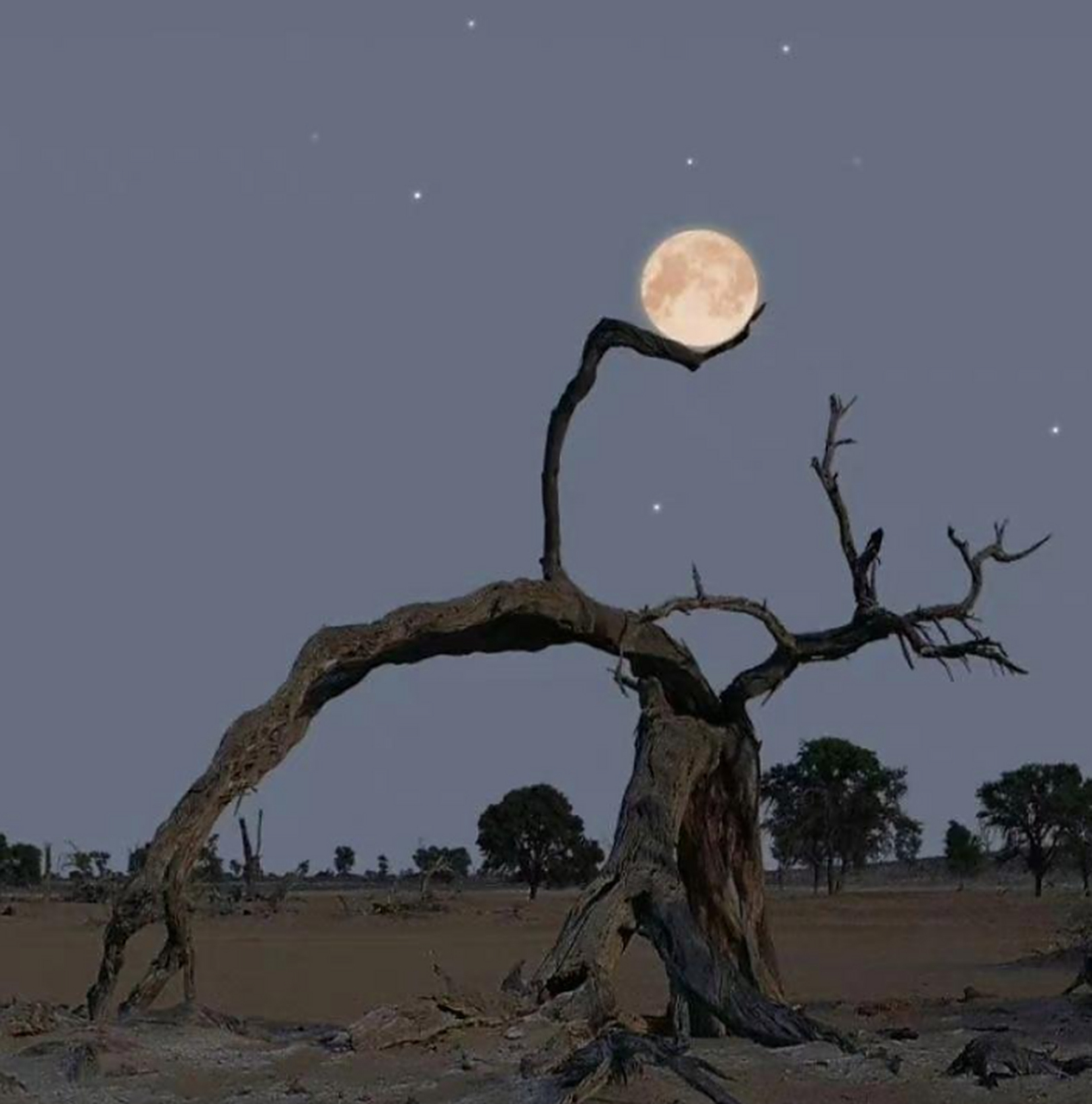 发挥你的想象力去描述一下这幅图