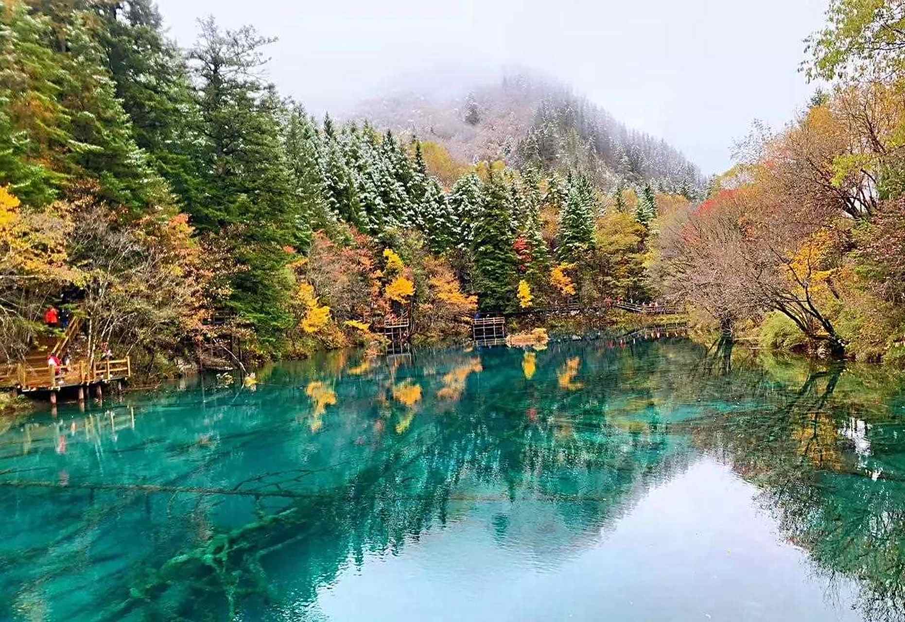 九寨沟在哪(九寨沟在哪个市哪个区)