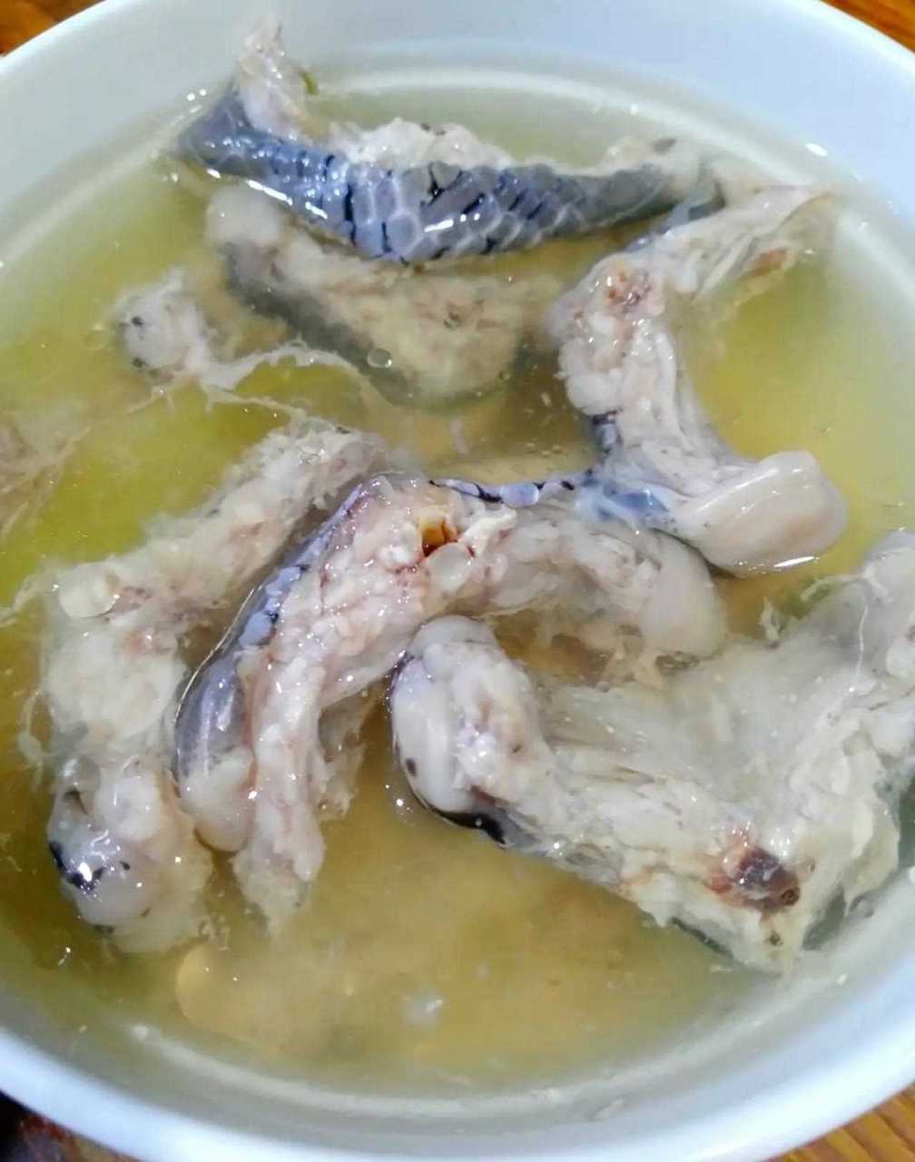 漳州的午夜,一罐蛇肉汤,足以慰风尘.[?