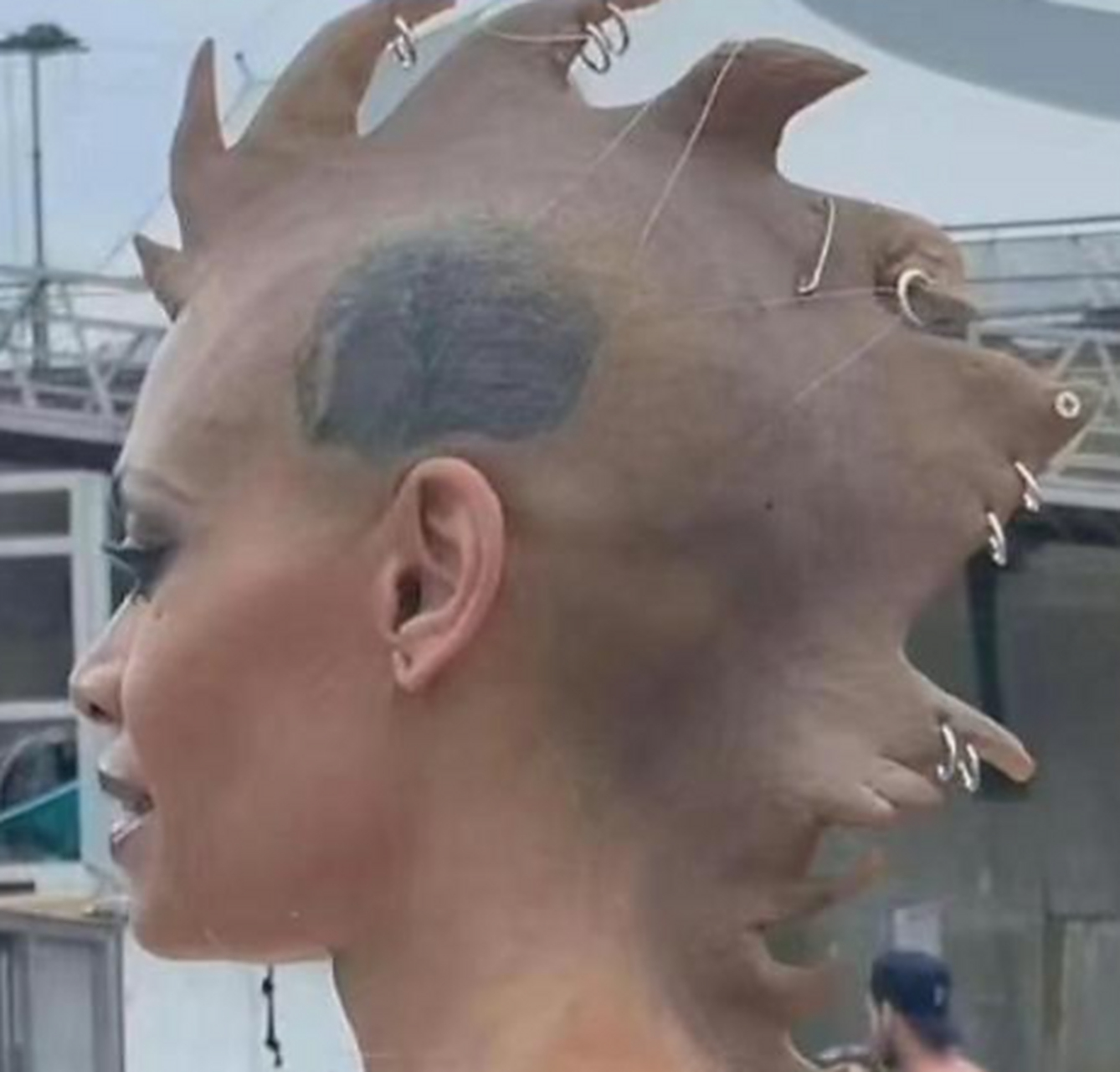 这是对大公鸡有多崇拜,才做这样的发型