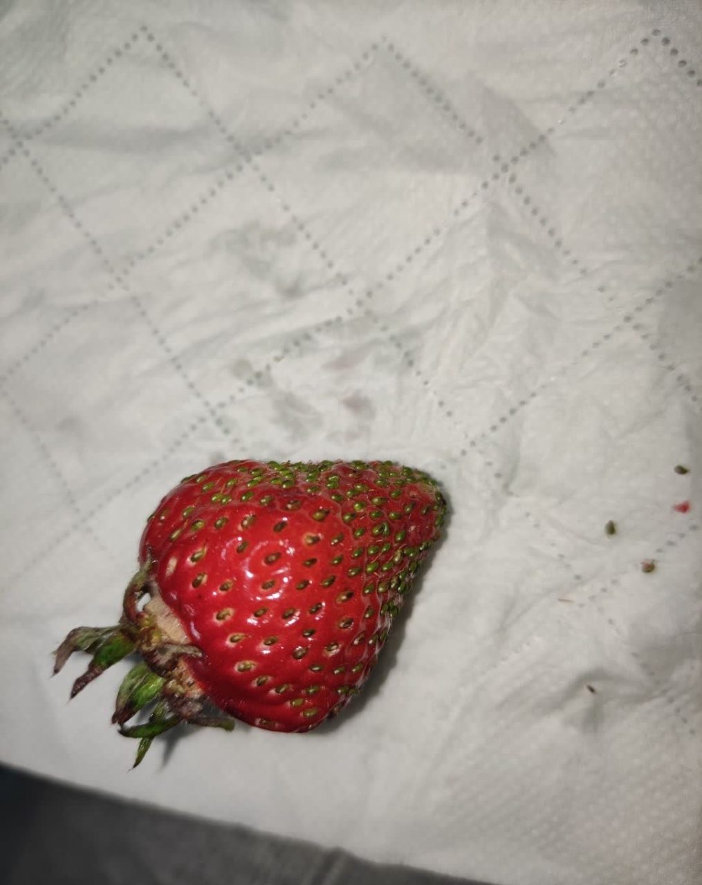 报告:发现了一个新品种,无籽草莓[坏笑]