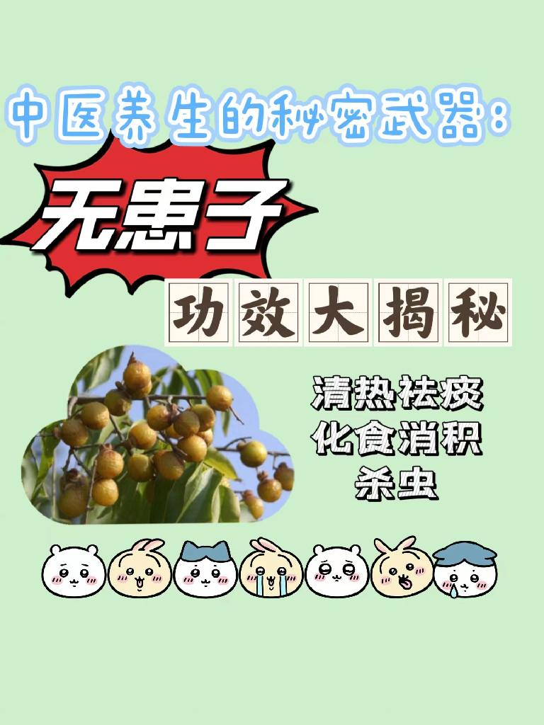 中医养生的秘密武器:无患子功效大揭秘  #健康生活经验#无患子是无患