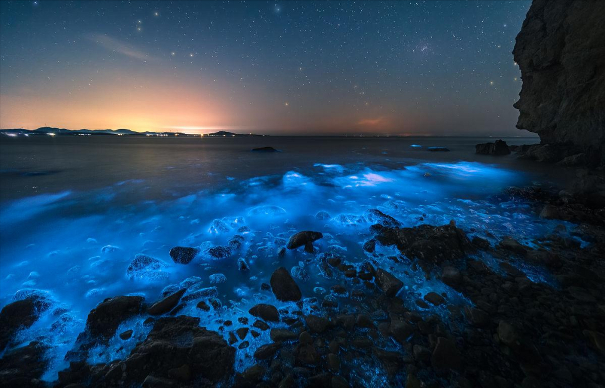 近日网上纷纷报道"广东海陵岛海滩连日现"蓝眼泪""这真是好看,小编