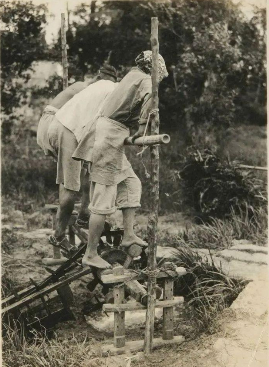 在没有机械喷灌技术的年代,水车是最为便捷的灌溉农田的工具,农民踩动