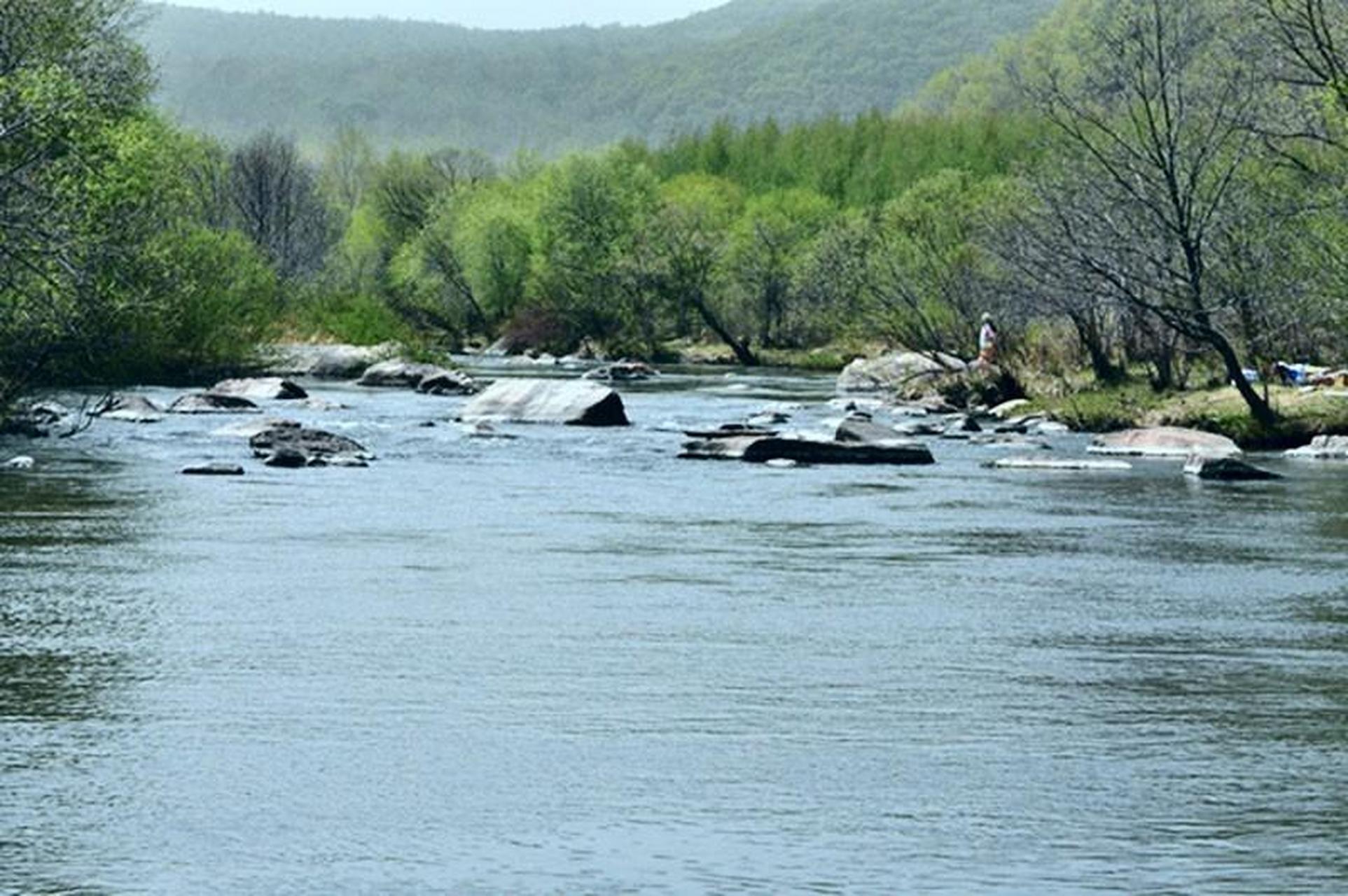 初中读物出现"惊悚诗歌",作者是我们熟悉的姜二妮,题目为《河》.