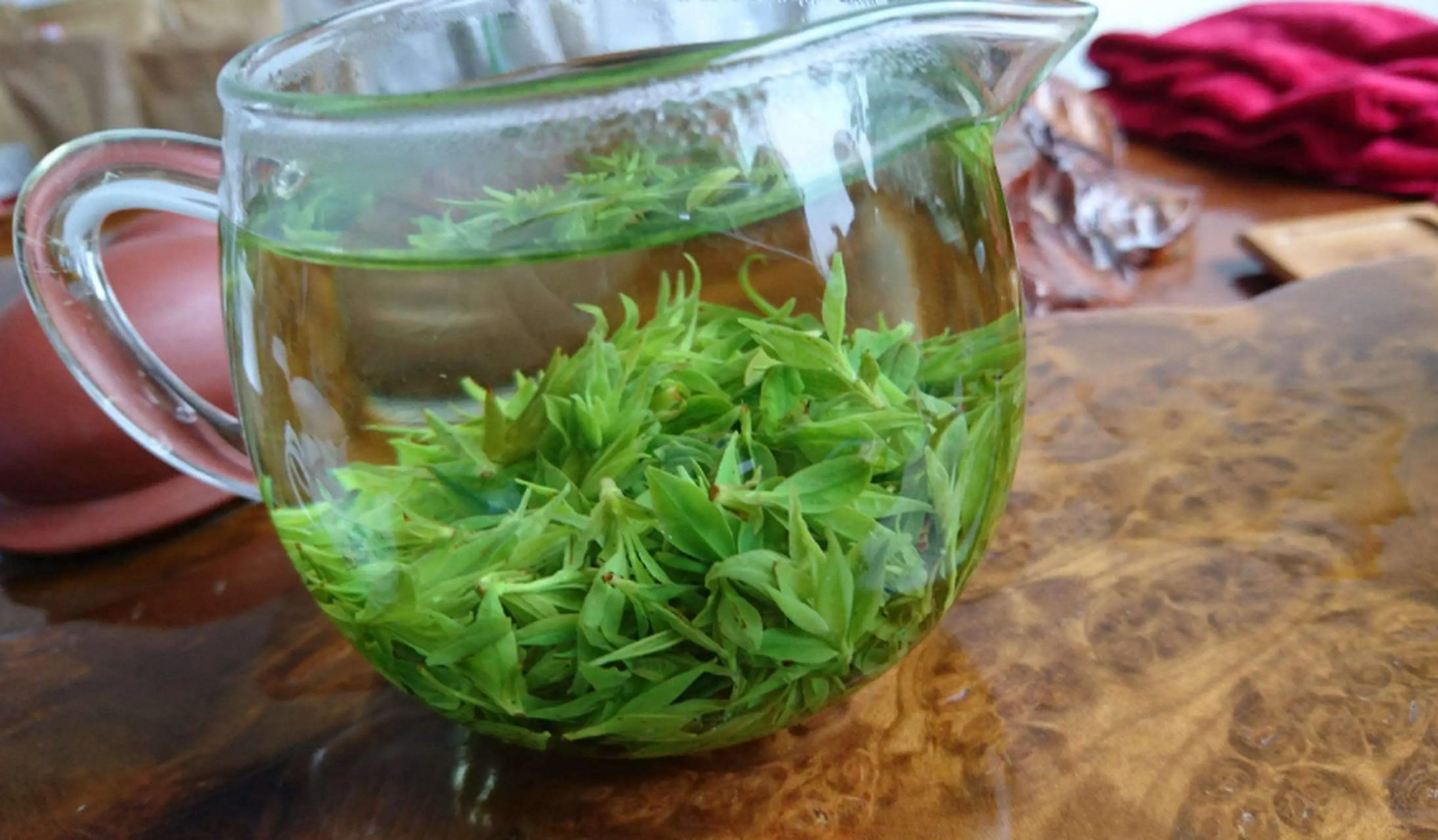 宜宾大叶苦丁茶别称甜茶叶,因其汁清香可口,回味甘甜而得名,又可分为