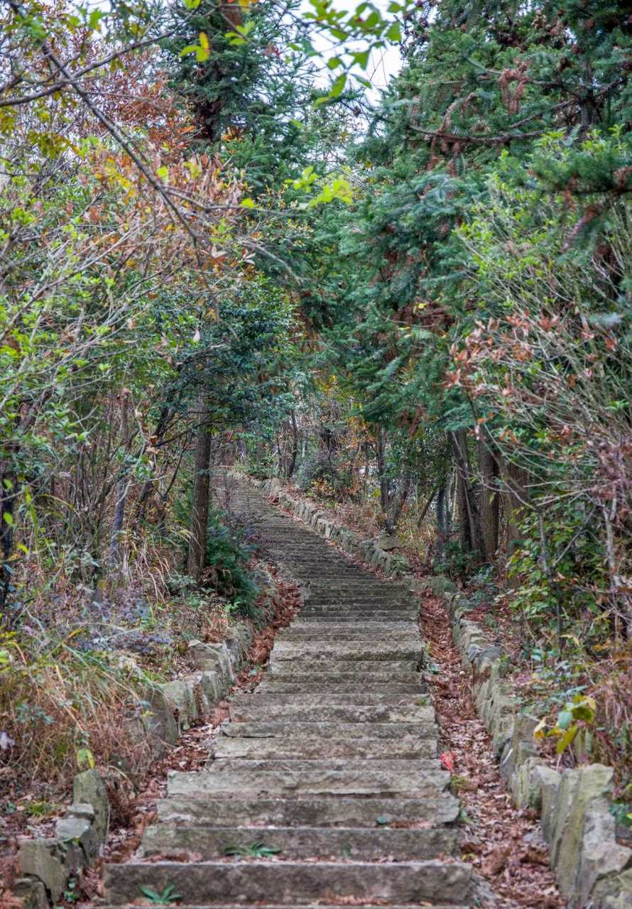 桐庐美女峰丨建德,桐庐,浦江交界处的丛山峻岭中.