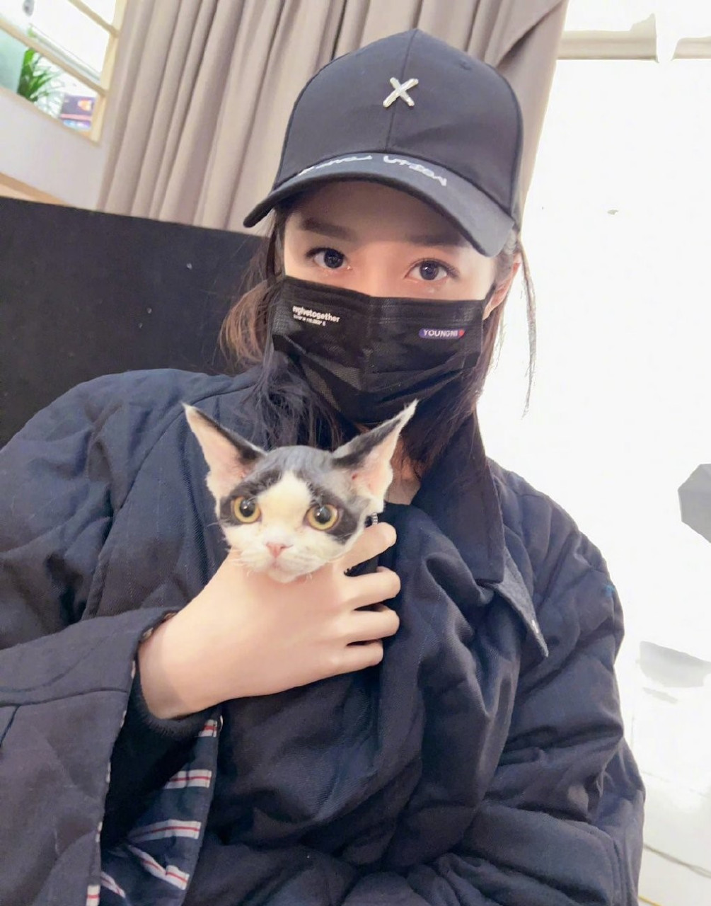 星闻#  少女与猫,关晓彤看起来更有爱了啊! #关晓彤与猫