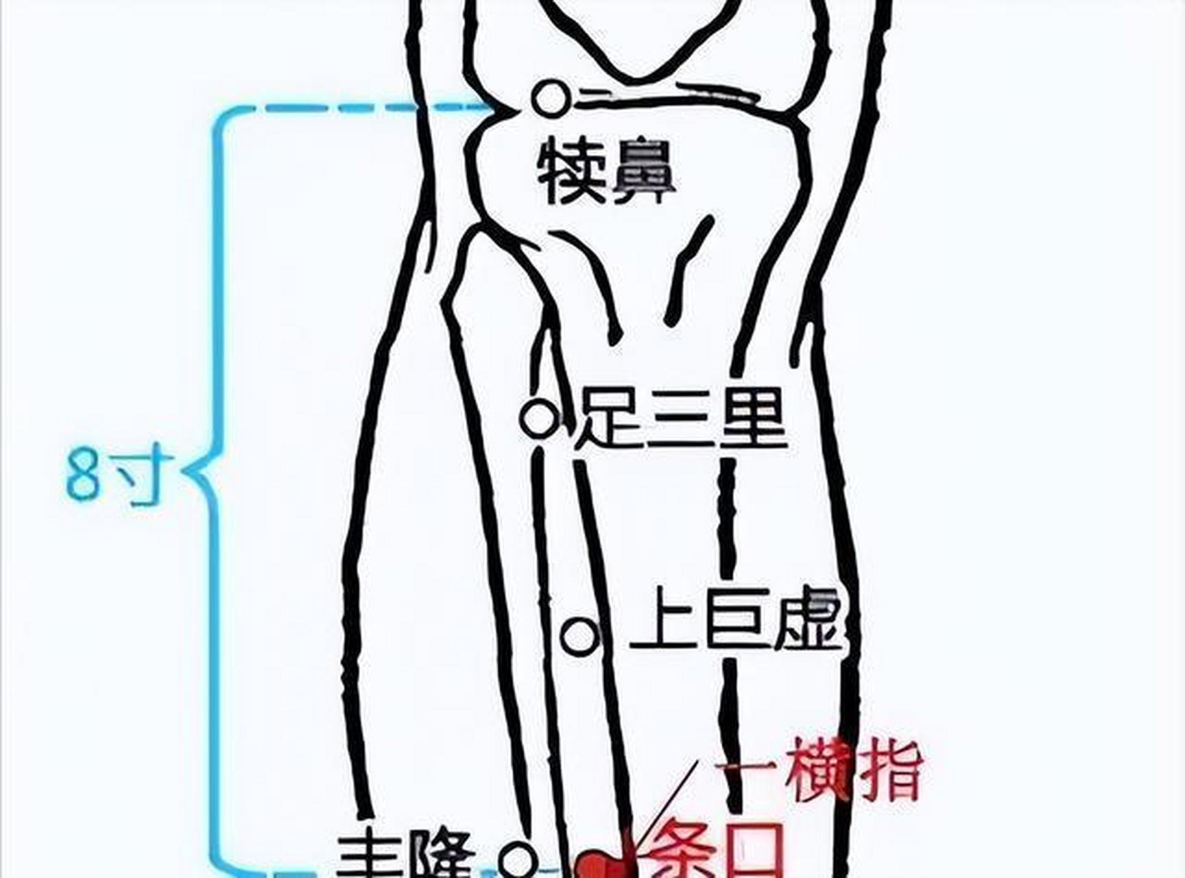 条口的准确位置图图片