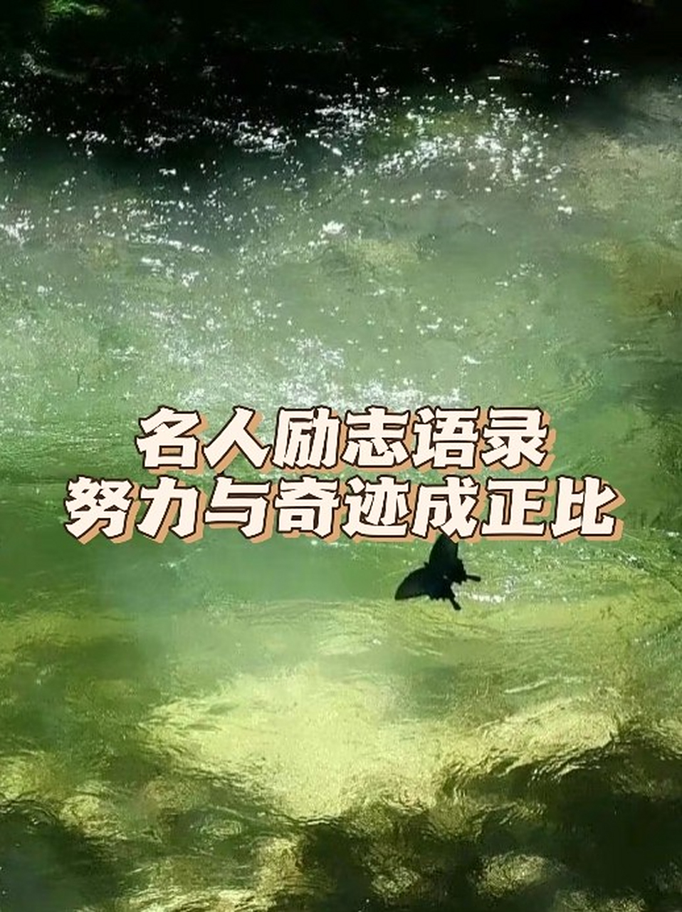 朝着目标努力的短句子图片(朝着目标努力的短句子图片大全)