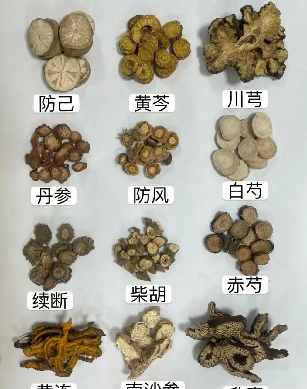 黄芩,川芎,防己,柴胡,赤芍,黄连,升府,车前子,仙鹤草,山楂,胖大海