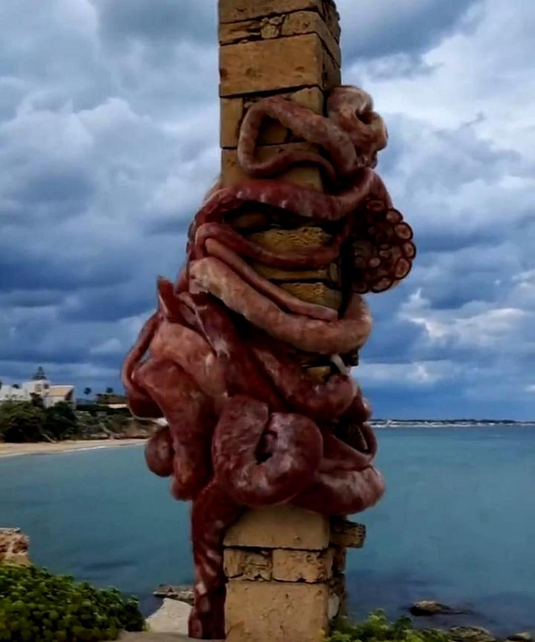 这是我见过的最大的章鱼,难道这就是挪威海怪吗?