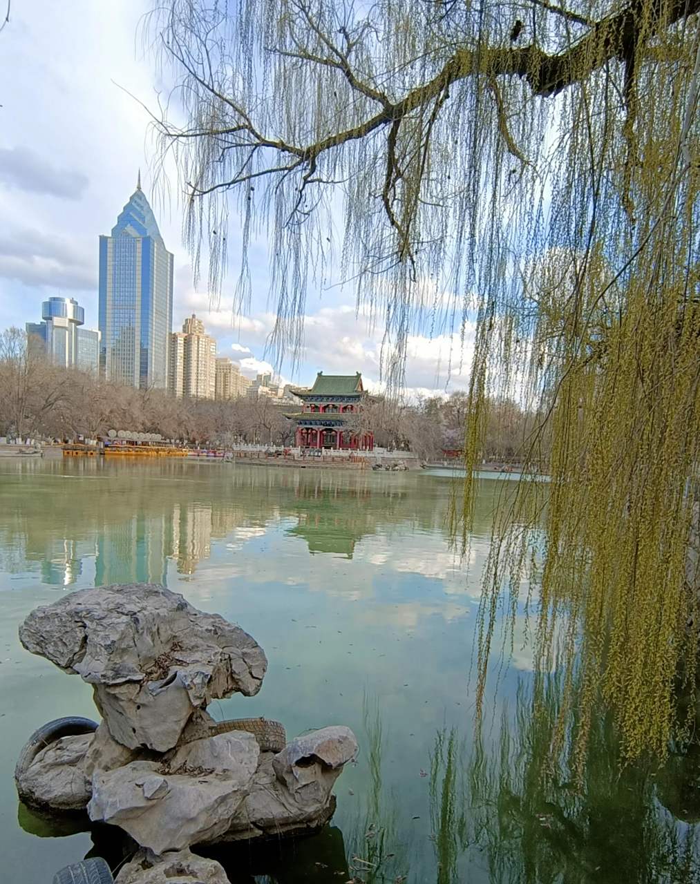 乌鲁木齐头条# #公园美景分享# 周末天气晴好,到西公园转转,随手排哪