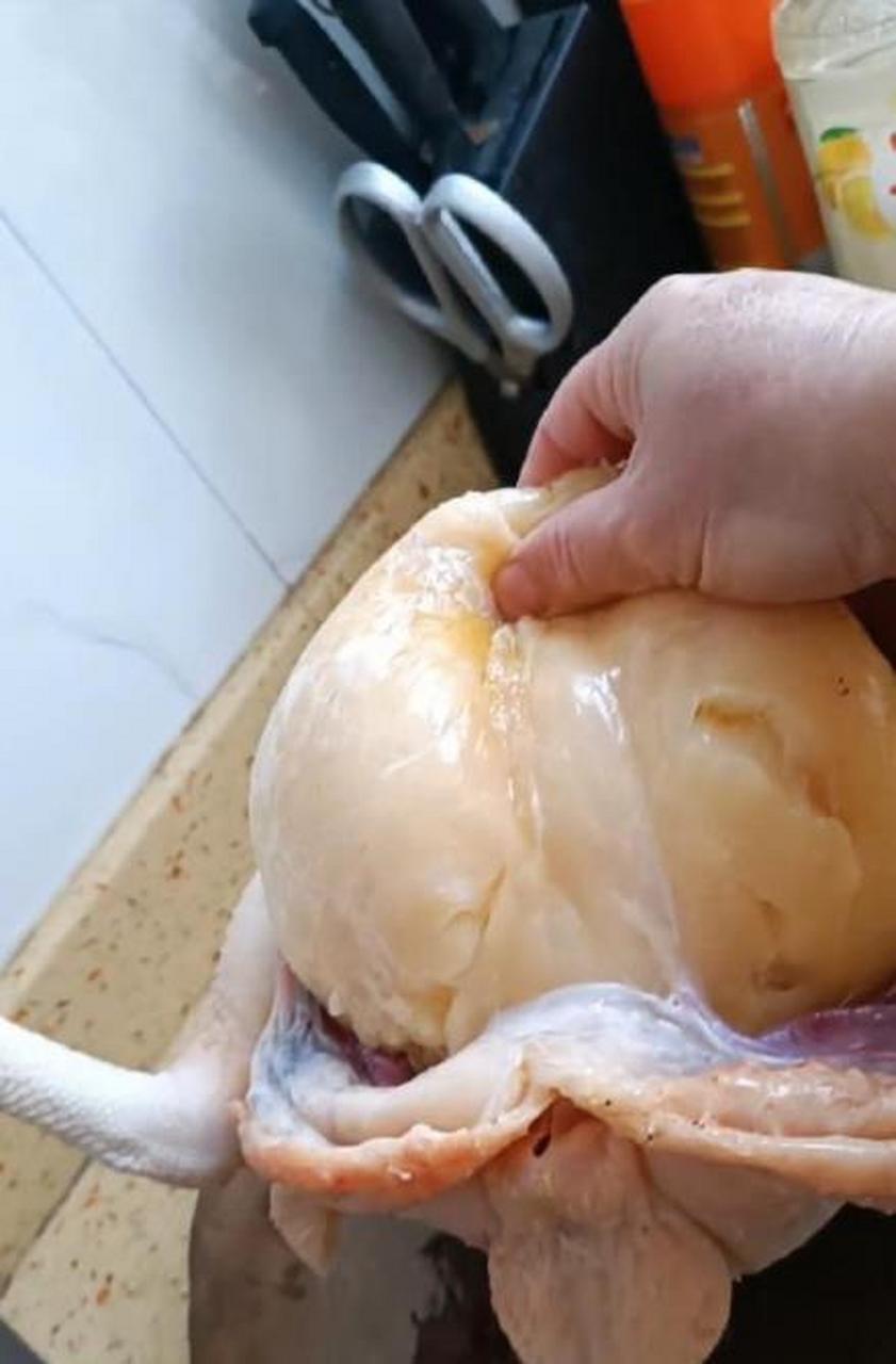 我从没见过这么油的东西.这和人体脂肪一样吗?