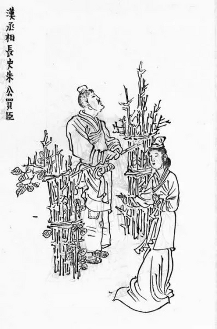 评剧《朱买臣休妻》(马前泼水)比较有名,朱买臣妻子崔氏始乱终弃,最后