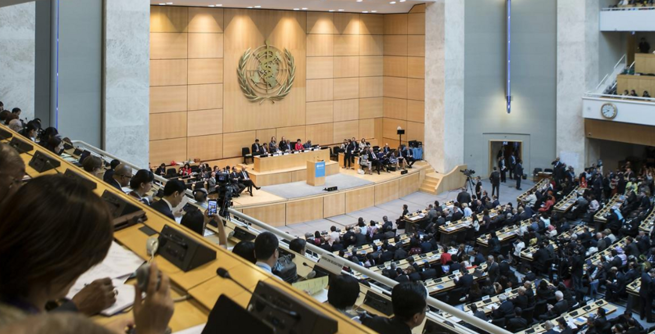 5月26日,世界卫生组织执委会34个成员国有10个到期改选.