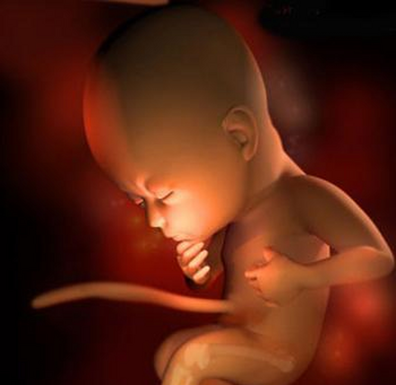 怀孕7个月,悦悦做产检的时候,医生发现胎儿偏小5周,她的腹围和宫高