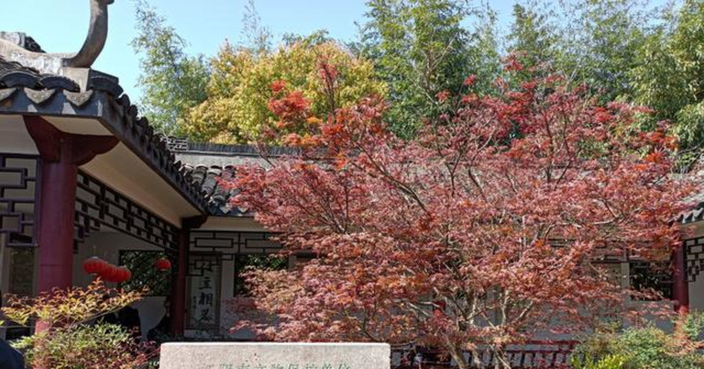 江阴顾山红豆村