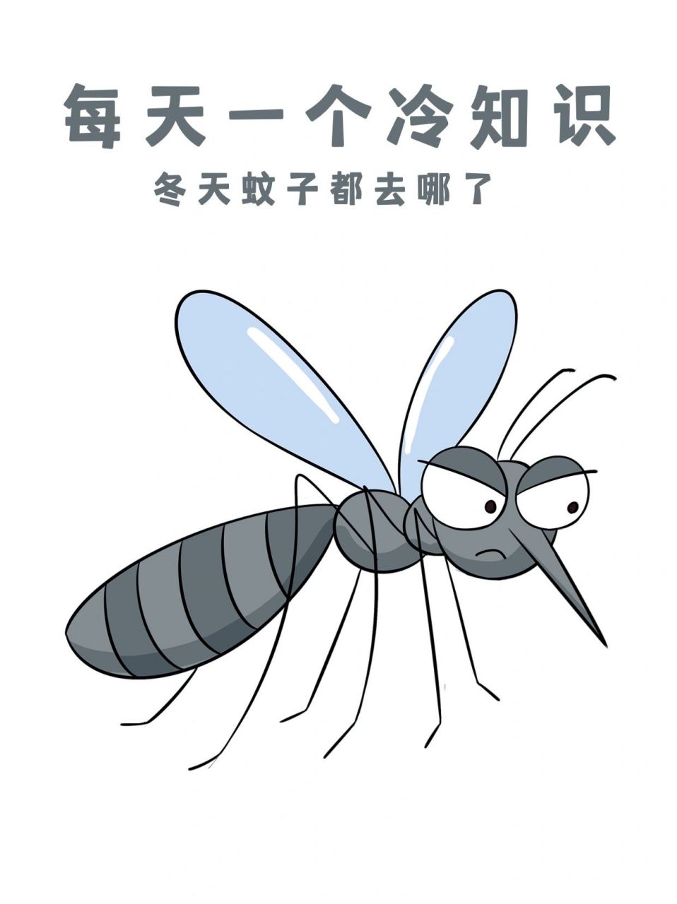 冬天蚊子都去哪了 冬天蚊子其实也会冬眠,蚊子的生活状态跟温度的关系