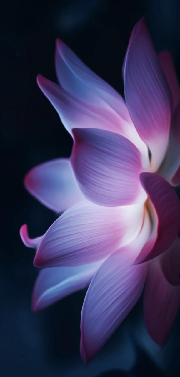 "深色系列"手机高清壁纸  #手机壁纸# #高清壁纸