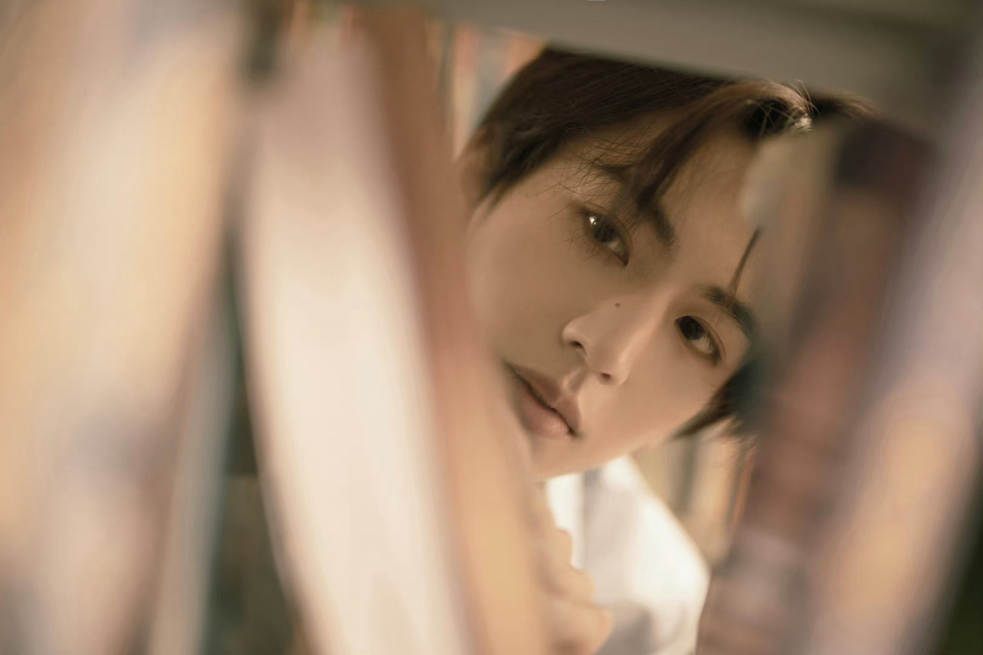 张凌赫无锡家长行5今天是书店里认真阅读的校园男主!