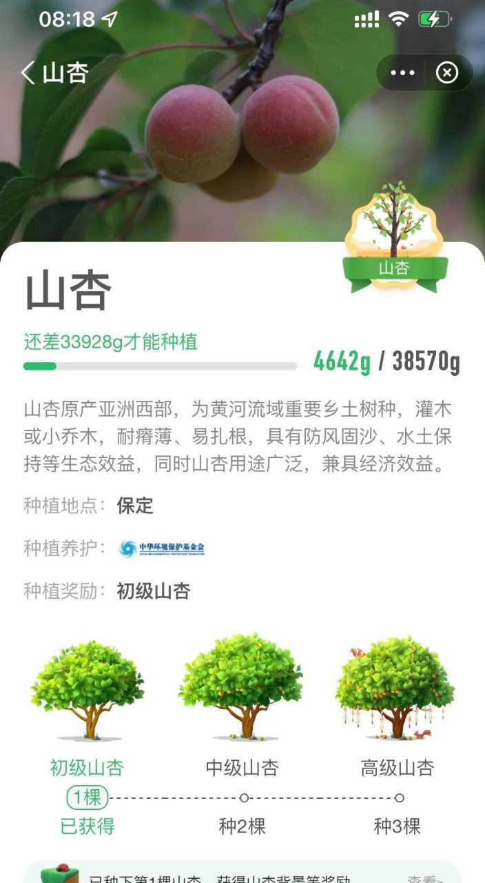 一大早在蚂蚁森林种了一颗山杏[惊哭]