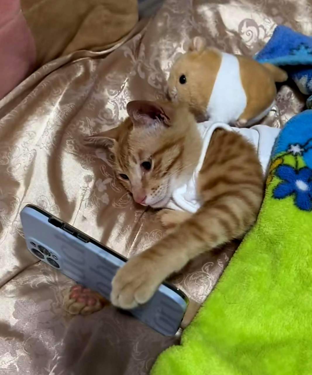 这只猫咪真是聪明,像个人一样躺在床上玩手机!