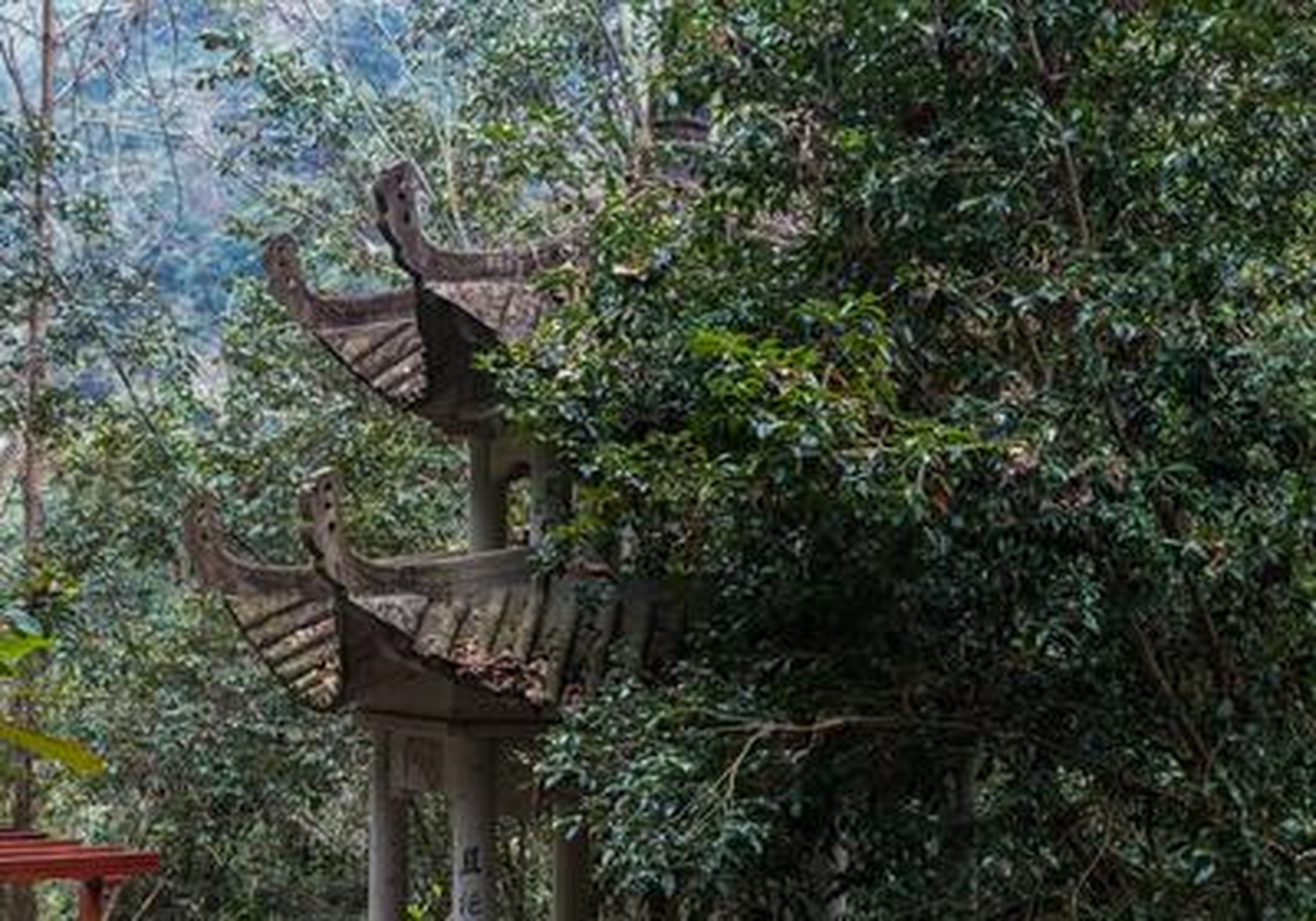 泰顺氡泉泉眼景区坐落在泰顺雅阳镇境内,以其山水秀丽,水热含氡而闻名