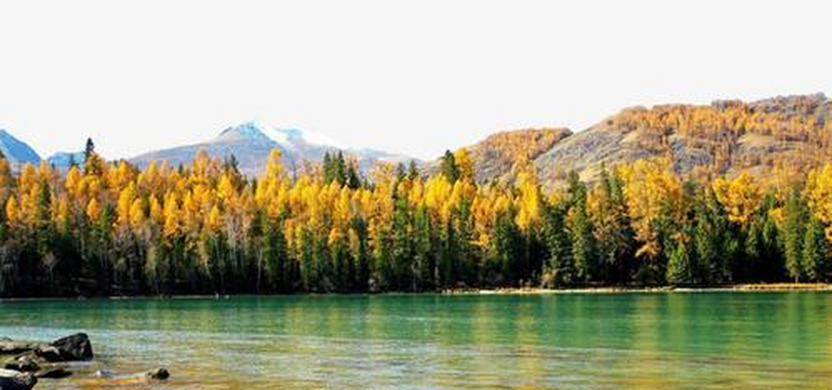 哥老会由内地已经传入新疆颇久,在迪化参加哥老会的陕甘人士有五六千