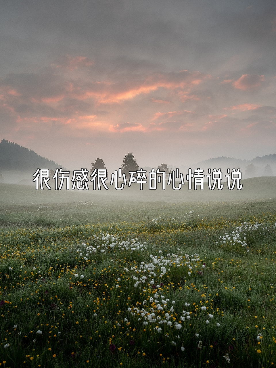 很伤感很心碎的心情说说