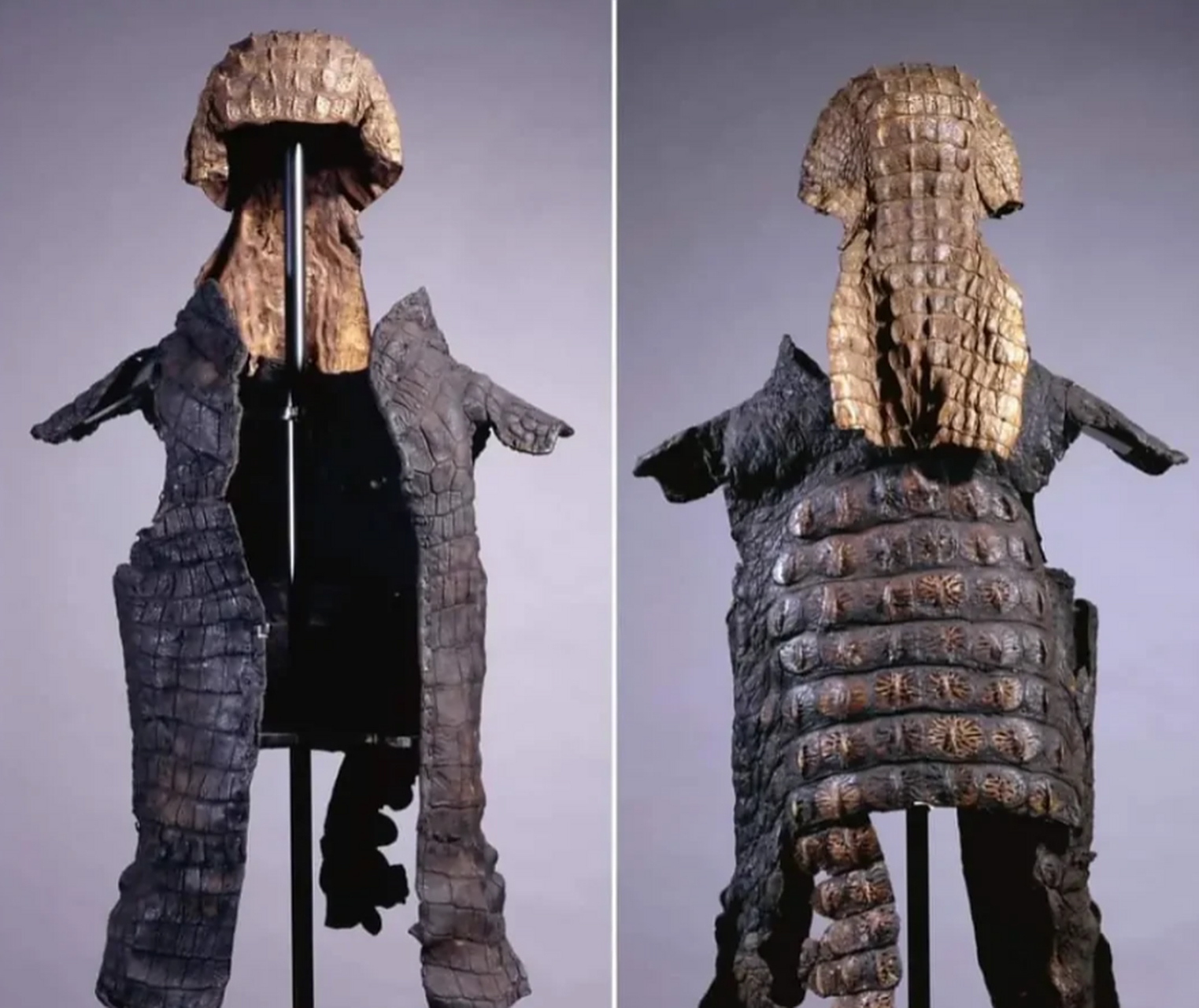 公元250年,古埃及时期的"鳄鱼皮盔甲",整件盔甲都是用鳄鱼皮制作而成