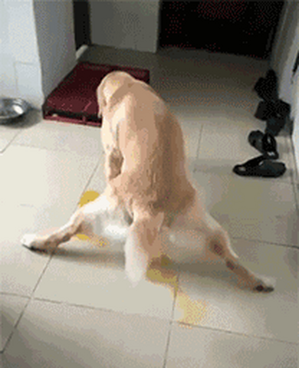 搞笑gif动图:搞笑第一张用一字马撒过尿