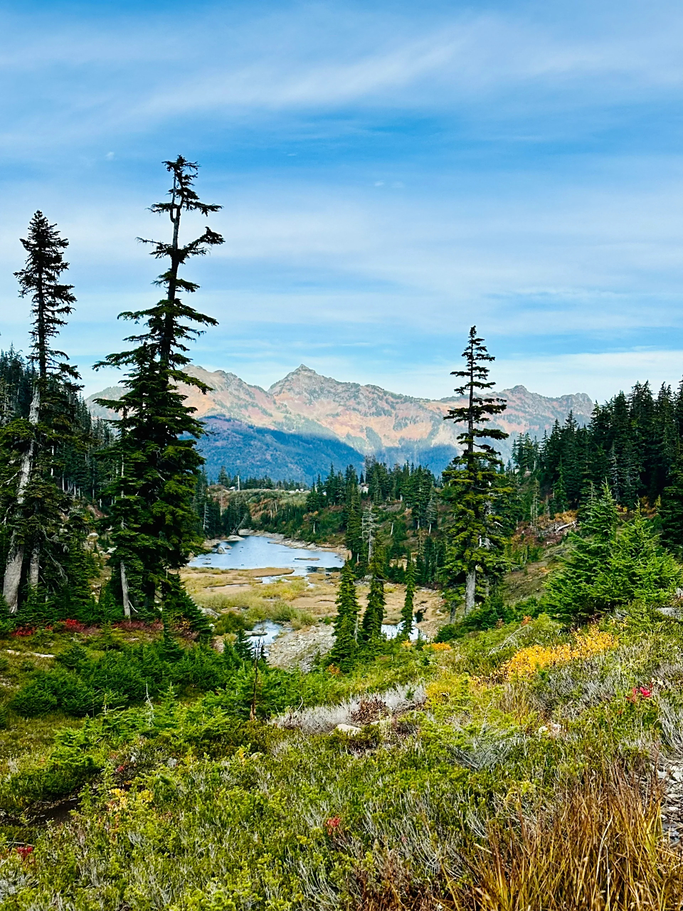 去秋游啦|西雅图美景大放送  秋风起,落叶飘,我们踏上了寻找秋天的