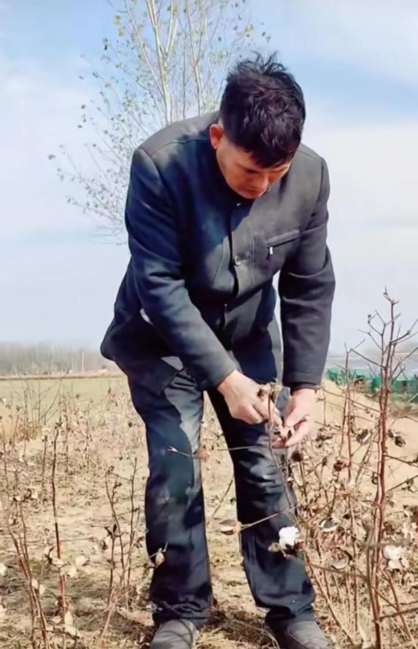 大衣哥出场费是多少图片