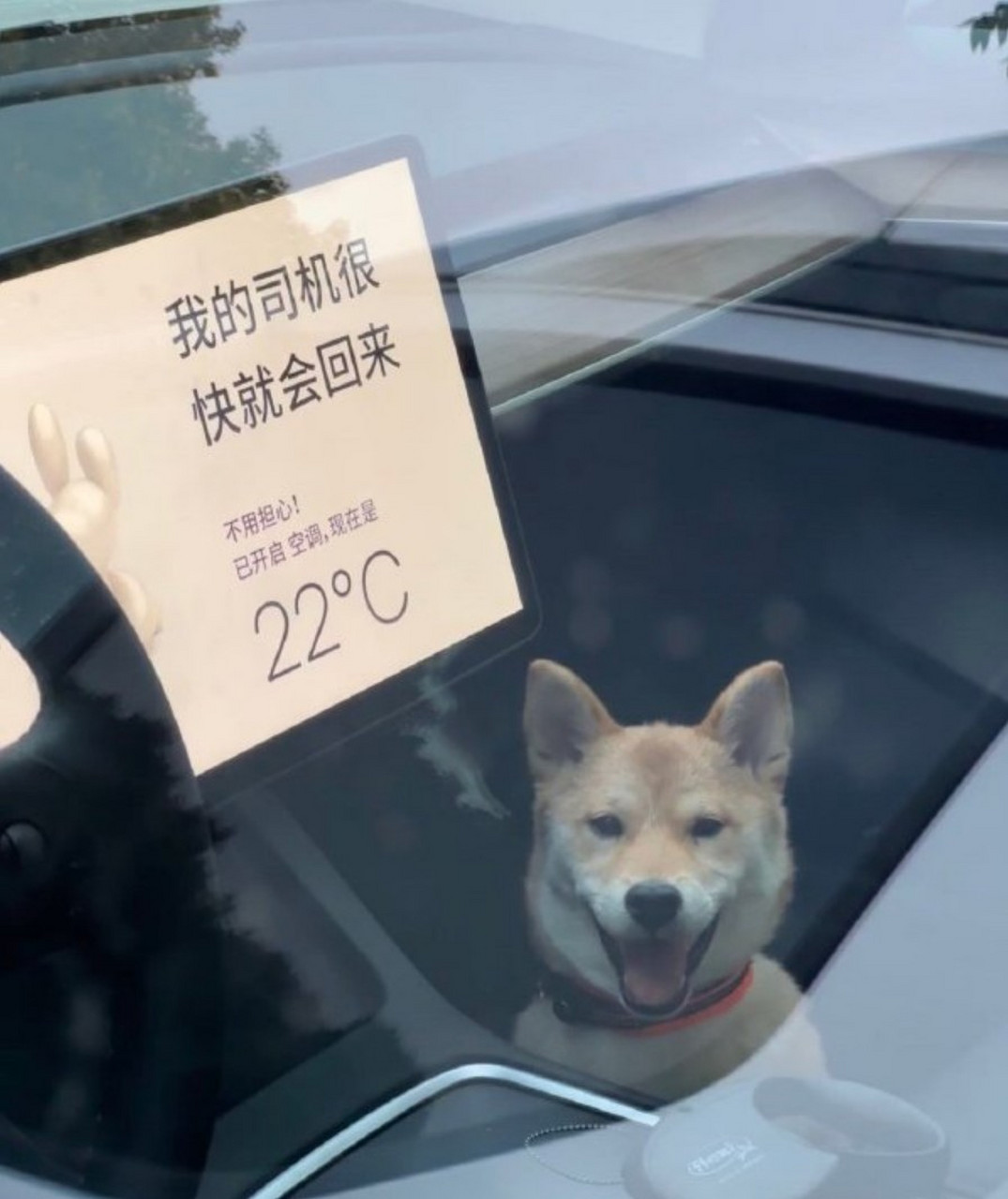 我过的很好不用担心 [三哈]  #趣图搞笑#02#娱乐资讯直通车#02
