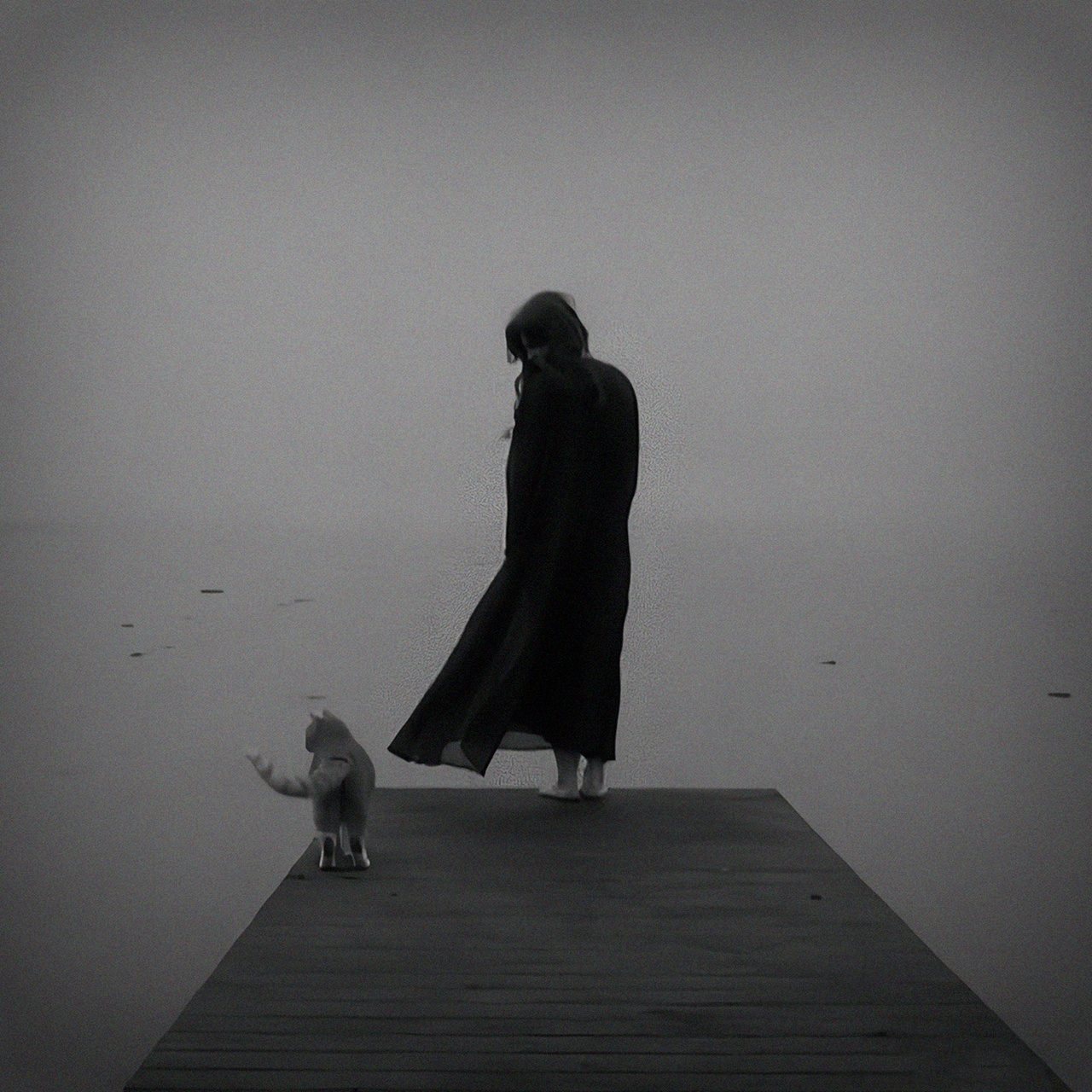 孤独或是自由的头像 676767