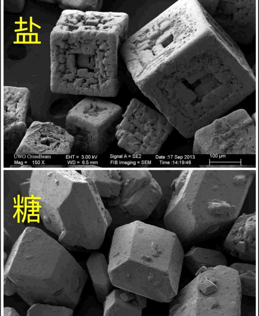 显微镜下的盐和糖是什么样子的[吃鲸鱼][坏笑]