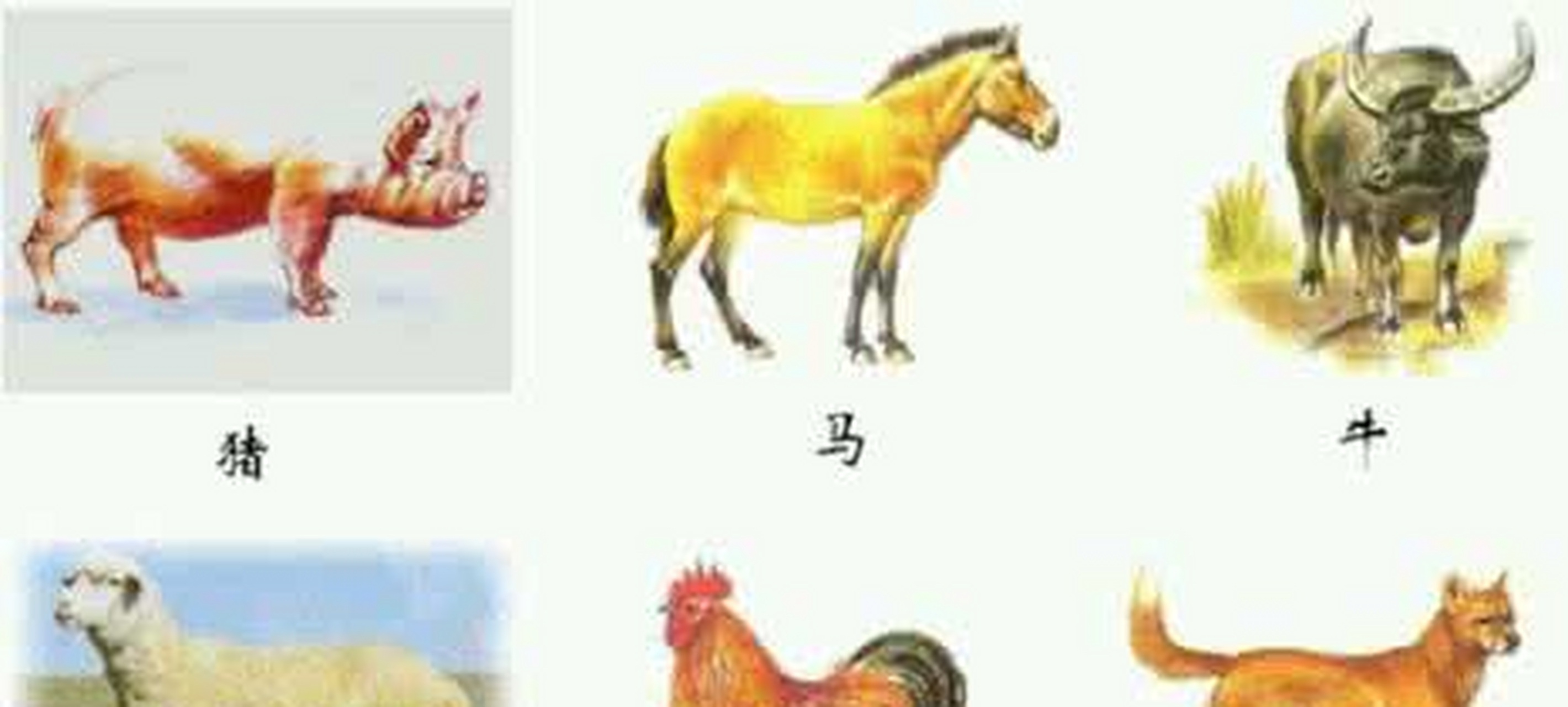 古代有所谓的驯养"六畜"之说,这就是"马牛羊猪狗鸡"这六种动物,虽然