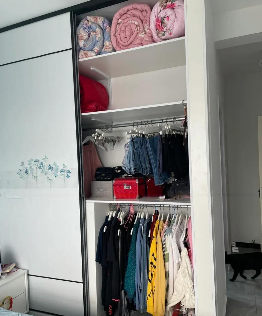 继金属衣柜之后,砖砌衣柜被吹爆了 几块搁板几根杆,加上一扇门 就是一