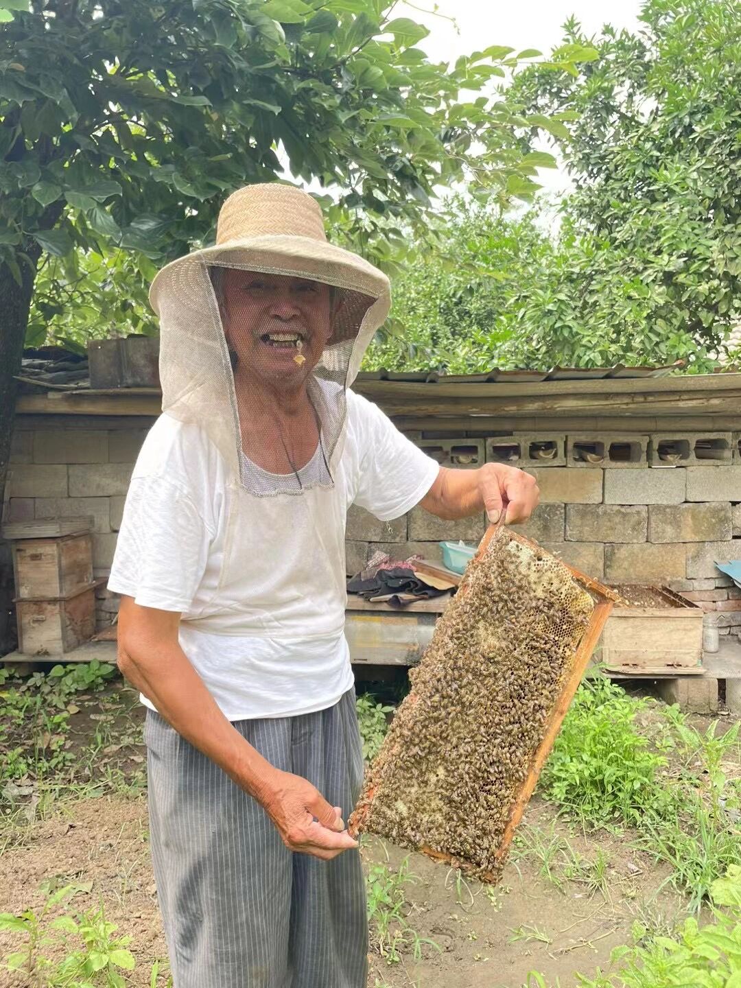 外公养的蜂蜜 纯度好高 这一罐竟然有2斤